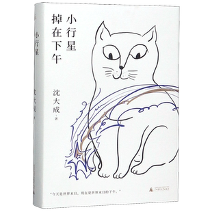 【新华书店旗舰店官网】正版包邮 小行星掉在下午 沈大成 屡次想起的人 短篇 小说 顾湘 赵桥村 宝珀文学奖 东京奇谭集 精怪故事集