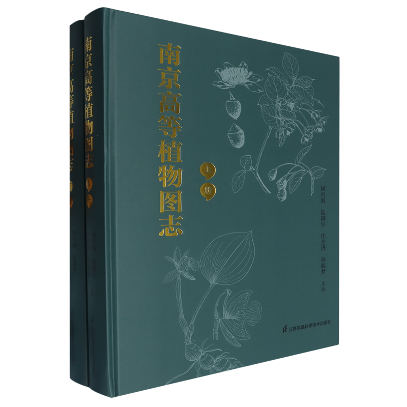 南京高等植物图志