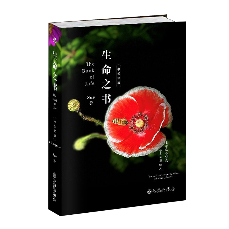 生命之书