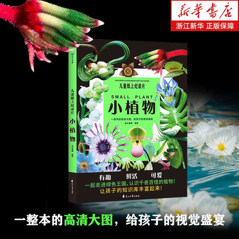儿童纸上纪录片:小植物 波点童趣 一整本的高清大图 给孩子的视觉盛宴 少儿科普绘本百科全书小学生课外读物 新华书店正版书籍