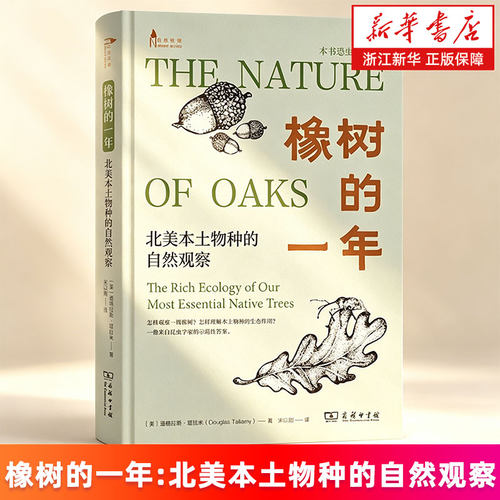 怎样观察一棵橡树？如何通过一棵橡树看见整