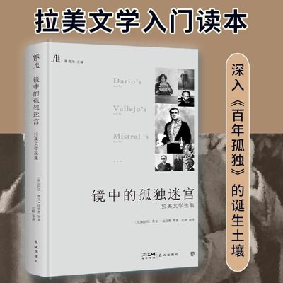 镜中的孤独迷宫:拉美文学选集