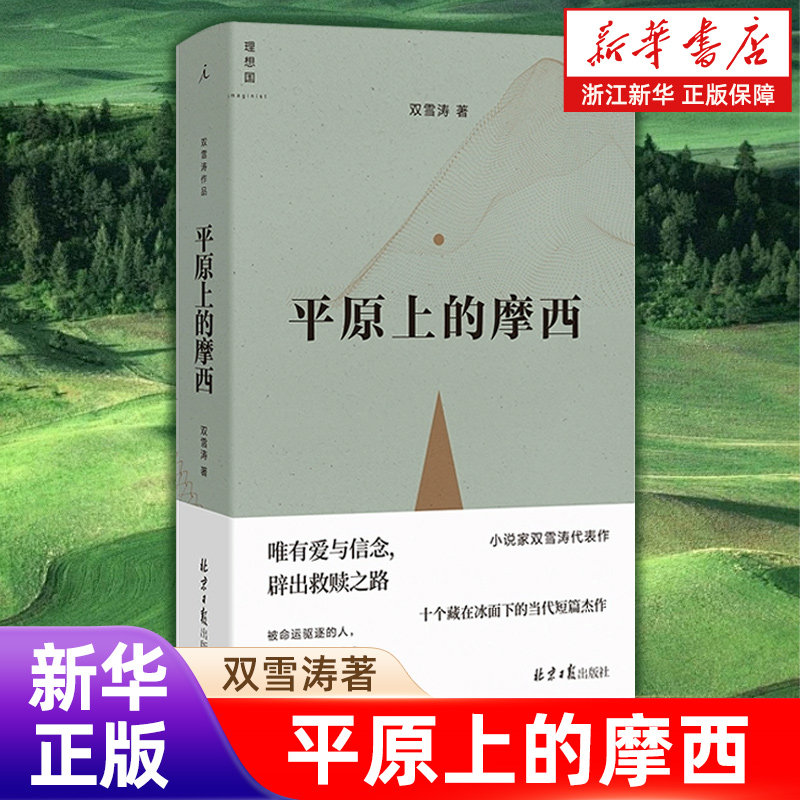 正版包邮 平原上的摩西 双雪涛著含我的朋友安德烈刺杀小说家飞行家猎人聋哑时代 周冬雨刘昊然主演电影原著【浙江新华书店旗舰店