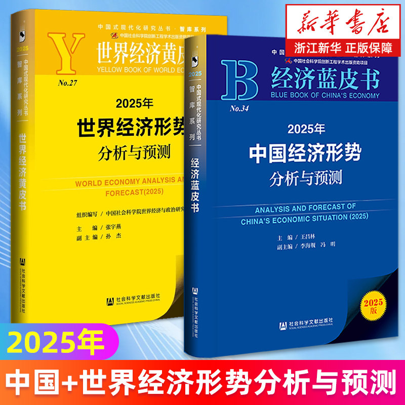【套装2册】2025年中国经济形势分析与预测+世界经济形势分析与预测 2025版中国经济蓝皮书世界经济黄皮书 新华书店旗舰店正版书籍