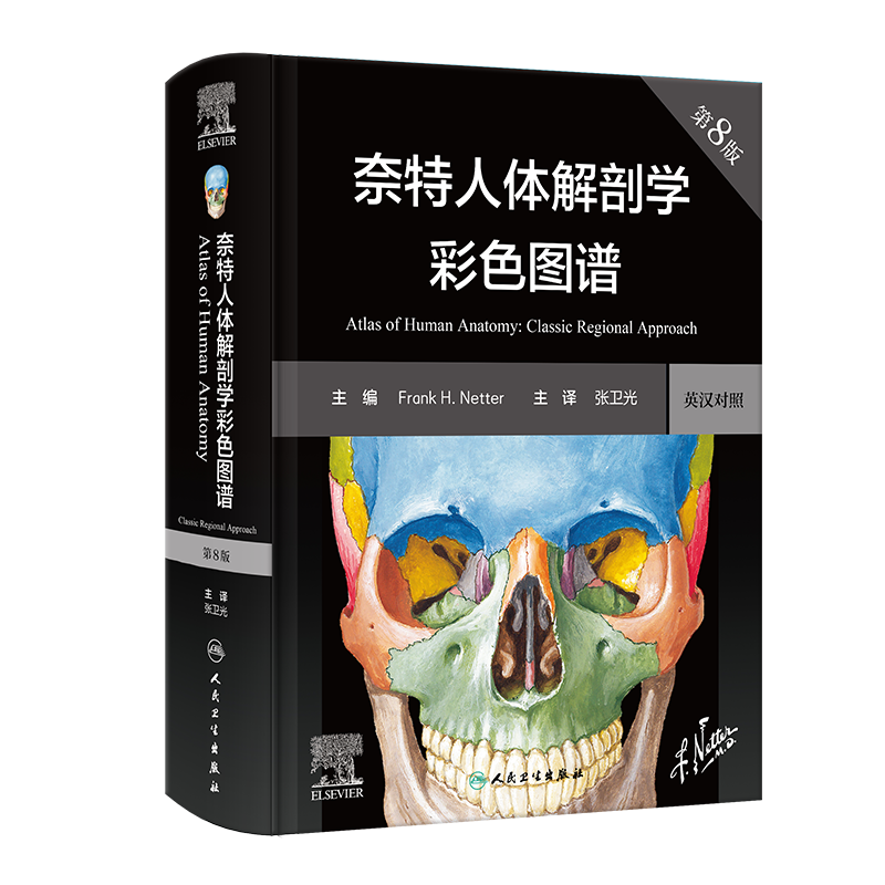 奈特人体解剖学图谱 第八版8人卫彩色局部影像系统格氏骨骼结构神经临床基础教材生理外科内科法医解刨解破医学类医学书籍解剖图谱