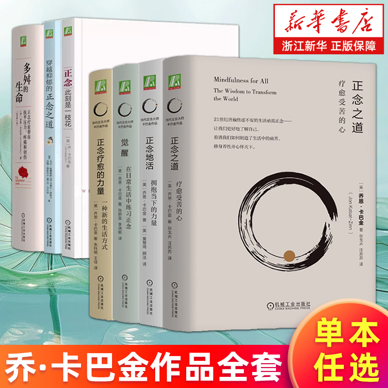 【多册任选】乔恩卡巴金作品全套 此刻是一枝花多舛的生命穿越抑郁的正念之道 拥抱当下的力量正念疗愈的力量在日常生活中练习正念