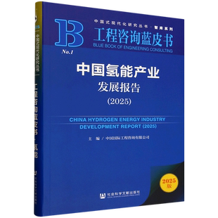 中国氢能产业发展报告.2025