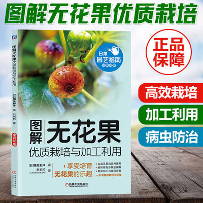 图解无花果优质栽培与加工利用栽培管理 整形修剪 加工利用图解 果树农业种植种书籍 无花果种植栽培技术书 无花果种植技术书籍