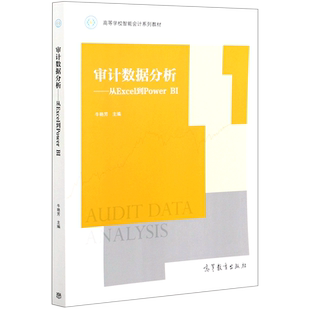 审计数据分析 从Excel到Power
