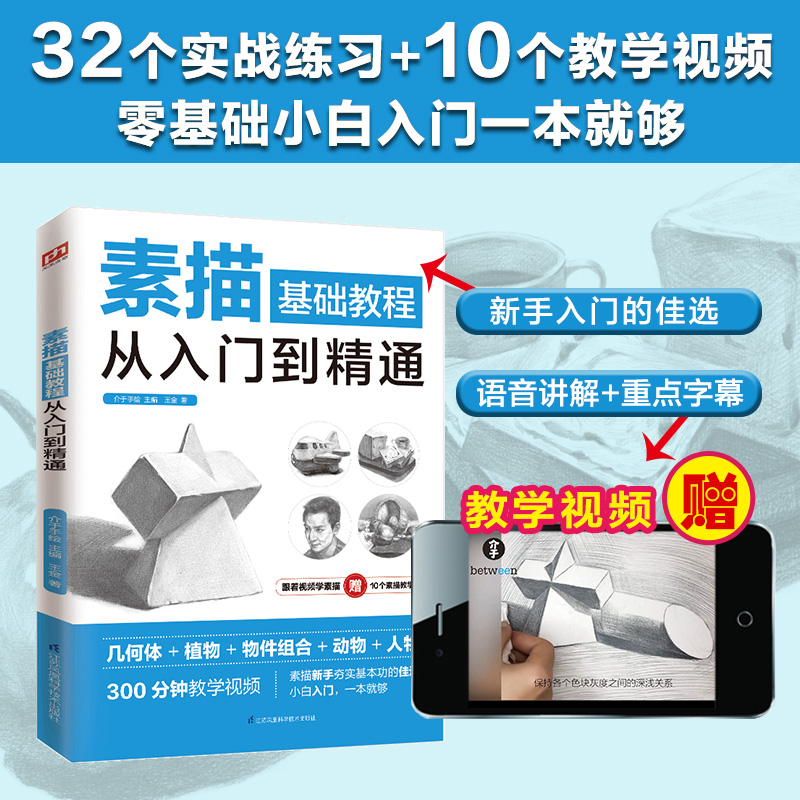 素描基础教程从入门到精通 王金 从零起步学素描入门自学零基础临摹教材书籍初学者手绘结构静物人物头像石膏几何体美术速写素描书