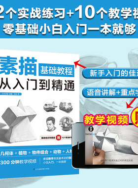 素描基础教程从入门到精通 王金 从零起步学素描入门自学零基础临摹教材书籍初学者手绘结构静物人物头像石膏几何体美术速写素描书
