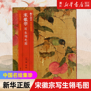 【新华书店旗舰店官网】宋徽宗写生翎毛图/中国名绘集珍 绘画作品类书籍 绘画艺术绘画类书籍 浙江人民美术出版社 新书书店 正版