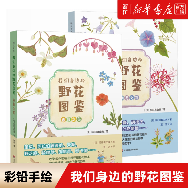 清新彩铅手绘图鉴 收录100余种身边常见的野花野草 知名科普博主刘夙