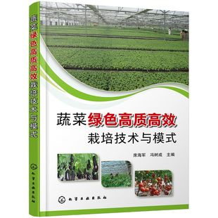 蔬菜绿色高质高效栽培技术与模式 日光温室环境调控露地蔬菜栽培土肥水管理农药病虫害绿色防控书籍 蔬菜绿色高质高效单项实用技术