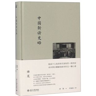 中国新诗史略(精)