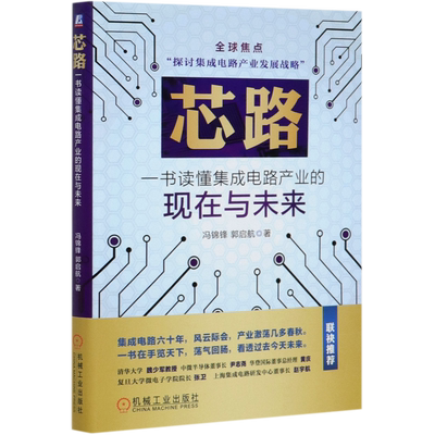 芯路一书读懂集成电路产业的现在与未来电路半导体IC芯片集成电路产业发展冯锦锋集成电路半导体华为中兴光刻机EUV技术发展历史