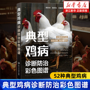 零基础学养鸡 常见鸡病预防 重大隐患鸡病诊断技巧 正版 典型鸡病诊断防治彩色图谱 鸡病常识图鉴与防控技术 书 新华书店旗舰店