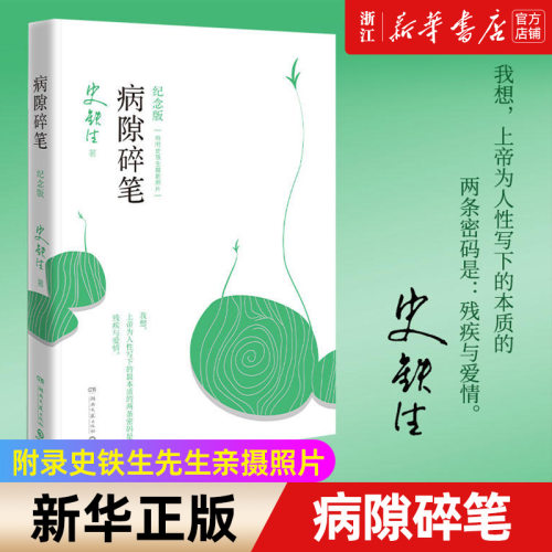 病隙碎笔2021纪念版史铁生