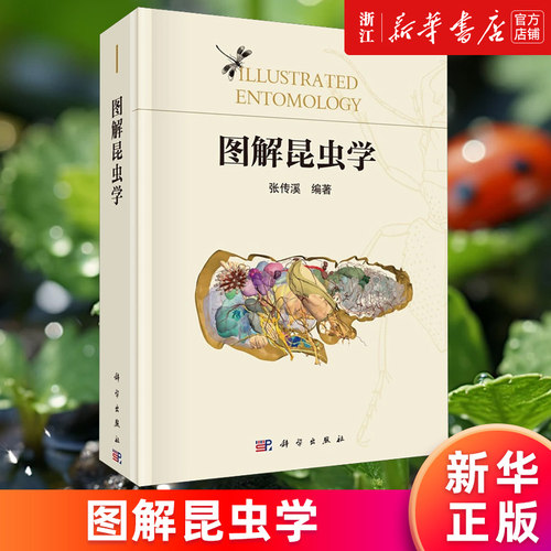 【新华书店旗舰店】图解昆虫学 张传溪 科普类读物昆虫学入门昆虫生物学分类学昆虫生态学昆虫爱好者参考书籍 正版