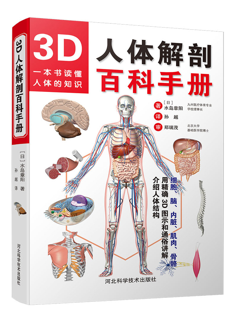正版现货内分泌代谢病学第4版四版全2册主编廖二元袁凌青内科学内分泌腺和非内分泌腺的内分泌疾病内分泌代谢人民卫生出版社_虎窝淘