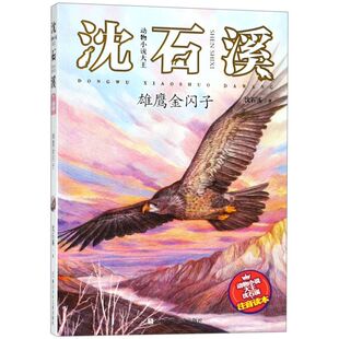 【新华书店旗舰店官网】正版包邮 雄鹰金闪子/动物小说大王沈石溪注音读本