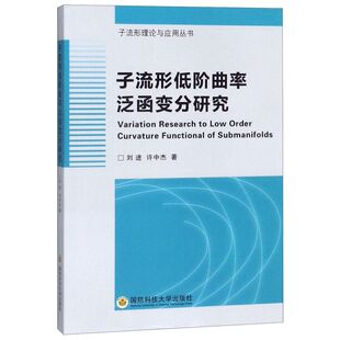 子流形低阶曲率泛函变分研究/子流形理论与应用丛书