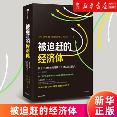 被追赶的经济体正版书新华官网