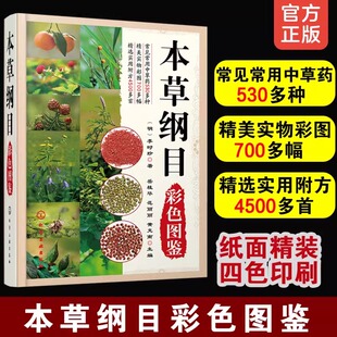 本草纲目彩色图鉴医药书李时珍中草药530多个品种实物彩图700多幅附方4500多首中医药工作中医爱好者中草药图解大全中医养生入门书
