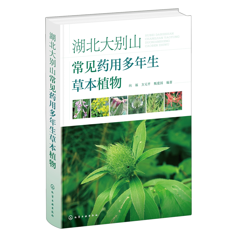 湖北大别山常见药用多年生草本植物 鄂东大别山地区常见药用多年生草本植物 药用草本 草本植物 多年生草本植物 植物爱好者参考书