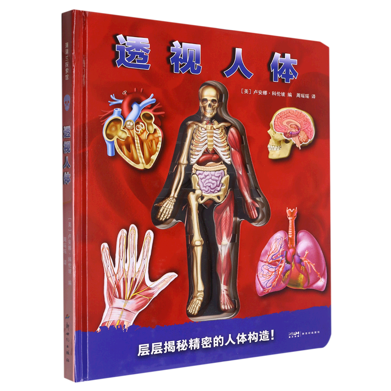 透视人体