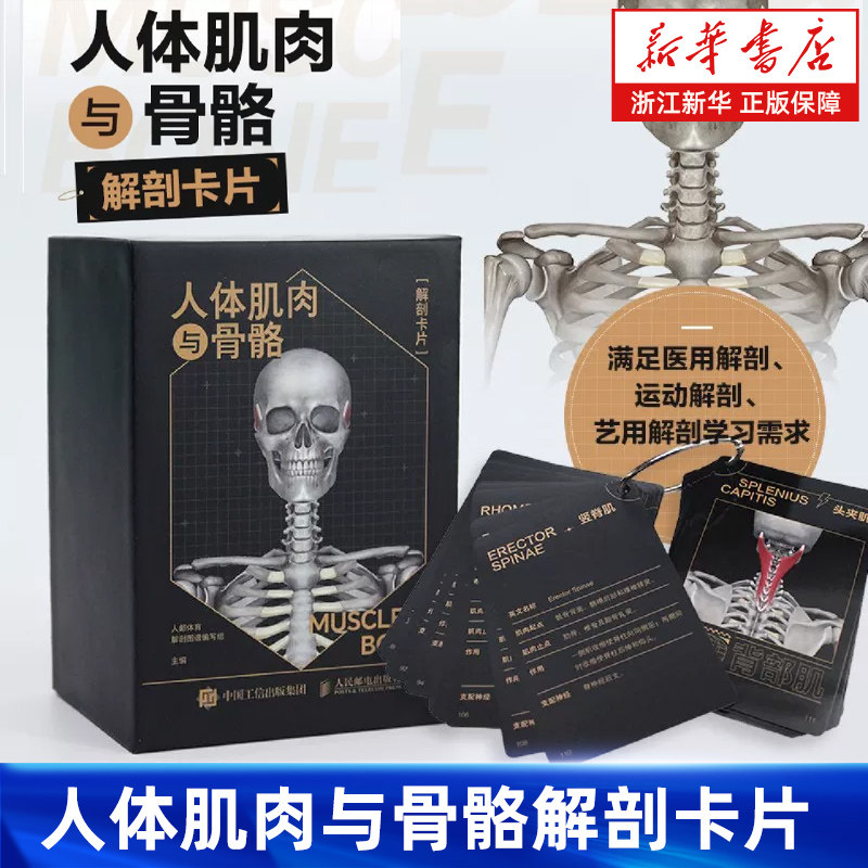 【新华书店旗舰店】人体肌肉与骨骼解剖卡片 运动骨骼肌肉解剖学 运动解剖图谱 正版书籍,书籍/杂志/报纸,体育运动(新),淘宝优惠券,粉丝福利购,淘宝优惠卷