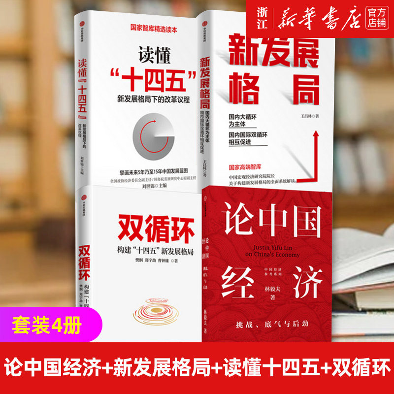 【套装4册】论中国经济+新发展格局+读懂十四五+双循环 套装4册 刘世锦王昌林樊纲林毅夫等著 国内大循环 解读中国经济 正版包邮