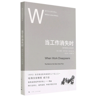 当工作消失时:城市新穷人的世界