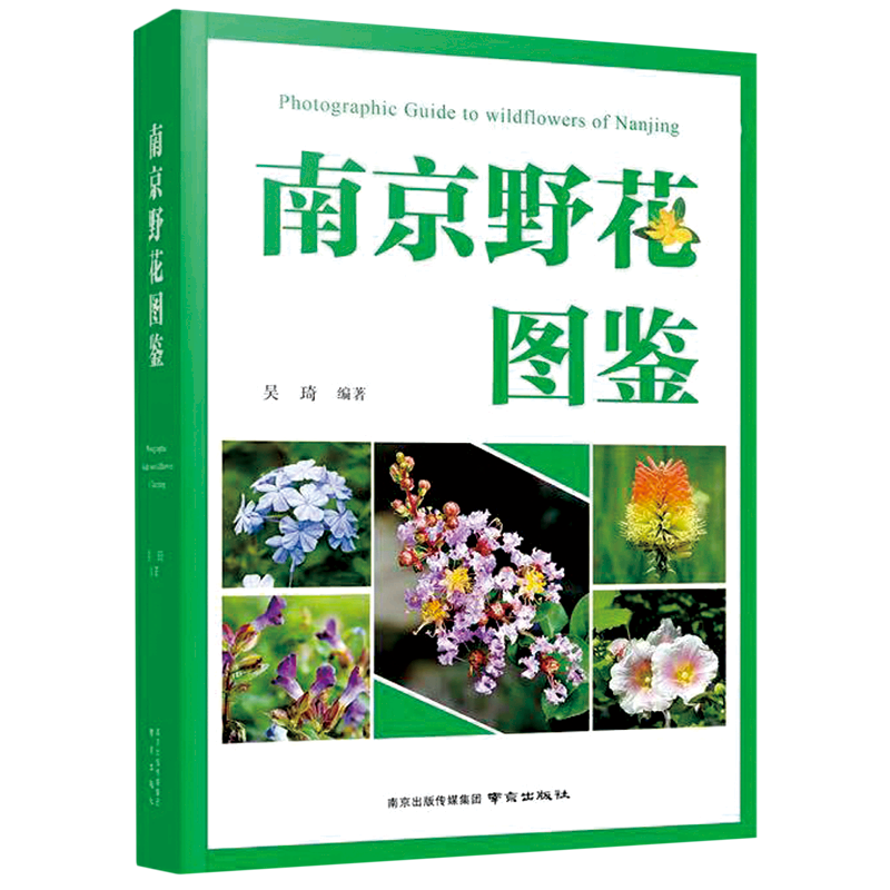 南京野花图鉴