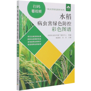 水稻病虫害绿色防控彩色图谱 9787109281745 杨清坡 刘杰主编 中国农业出版社 水稻病虫害防治经验