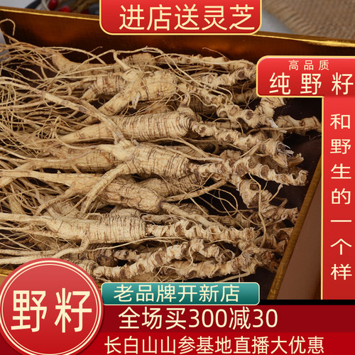 长白山野生整枝林下参