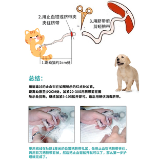 宠物狗狗小猫咪怀孕期生产接生工具用品全套套装 母猫待产包吸羊水