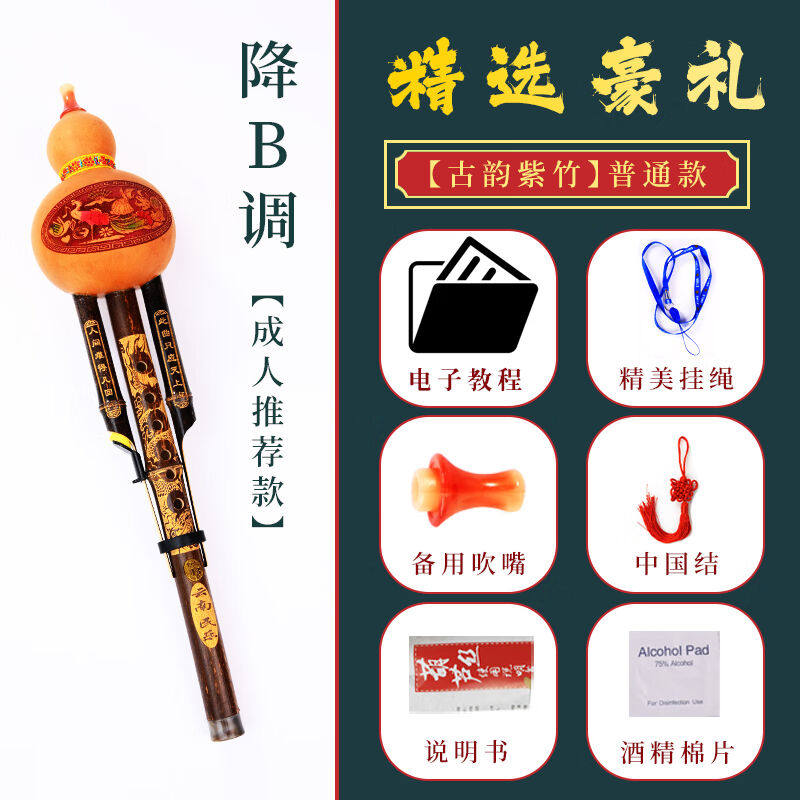 贝乐星辉云南葫芦丝初学入门葫芦丝乐器店初学者c调降b调防摔儿童