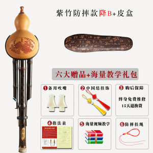 晗畅杉贝SHANBEI防摔双音胡芦丝晗畅紫竹防摔款降b调+皮盒