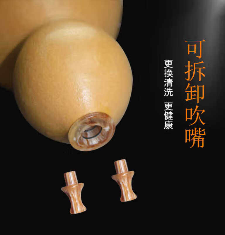 艺器云南葫芦丝紫竹初学考级学生儿童dc降bgf调专业演奏乐器G调标