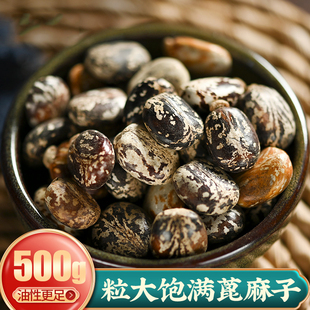 【道地无硫】蓖麻子新鲜正品中药材大粒蓖麻仁篦麻子种子中草药