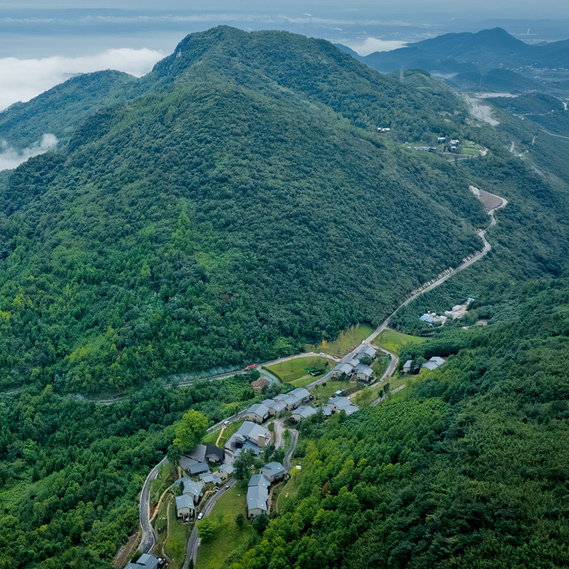 【双城记】十里芳菲2晚双城+双早+下午茶+深度体验