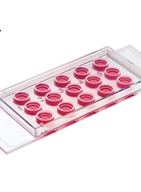 81506 血管生成载玻片   出芽实验 血管生成 成管 载波片