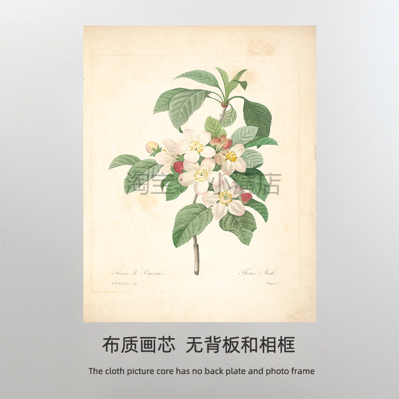 绿植花卉装饰画芯 玫瑰花宿命餐厅壁画打印画布  规模画心图片