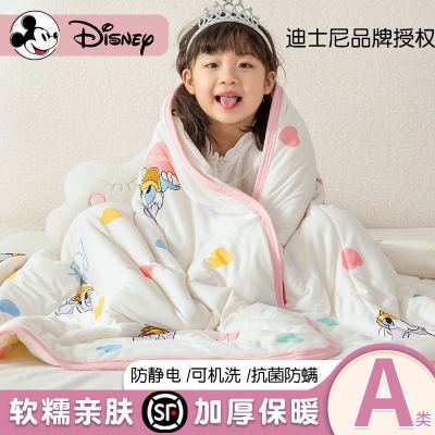 迪士尼儿童夏凉被新生宝宝幼儿园专用小被子夏季薄款毯婴儿空调被