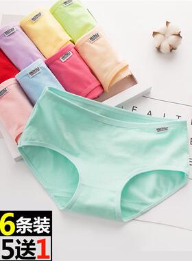 6Pack Women's Sexy Underwear -Lace Band Cotton Thong Panties