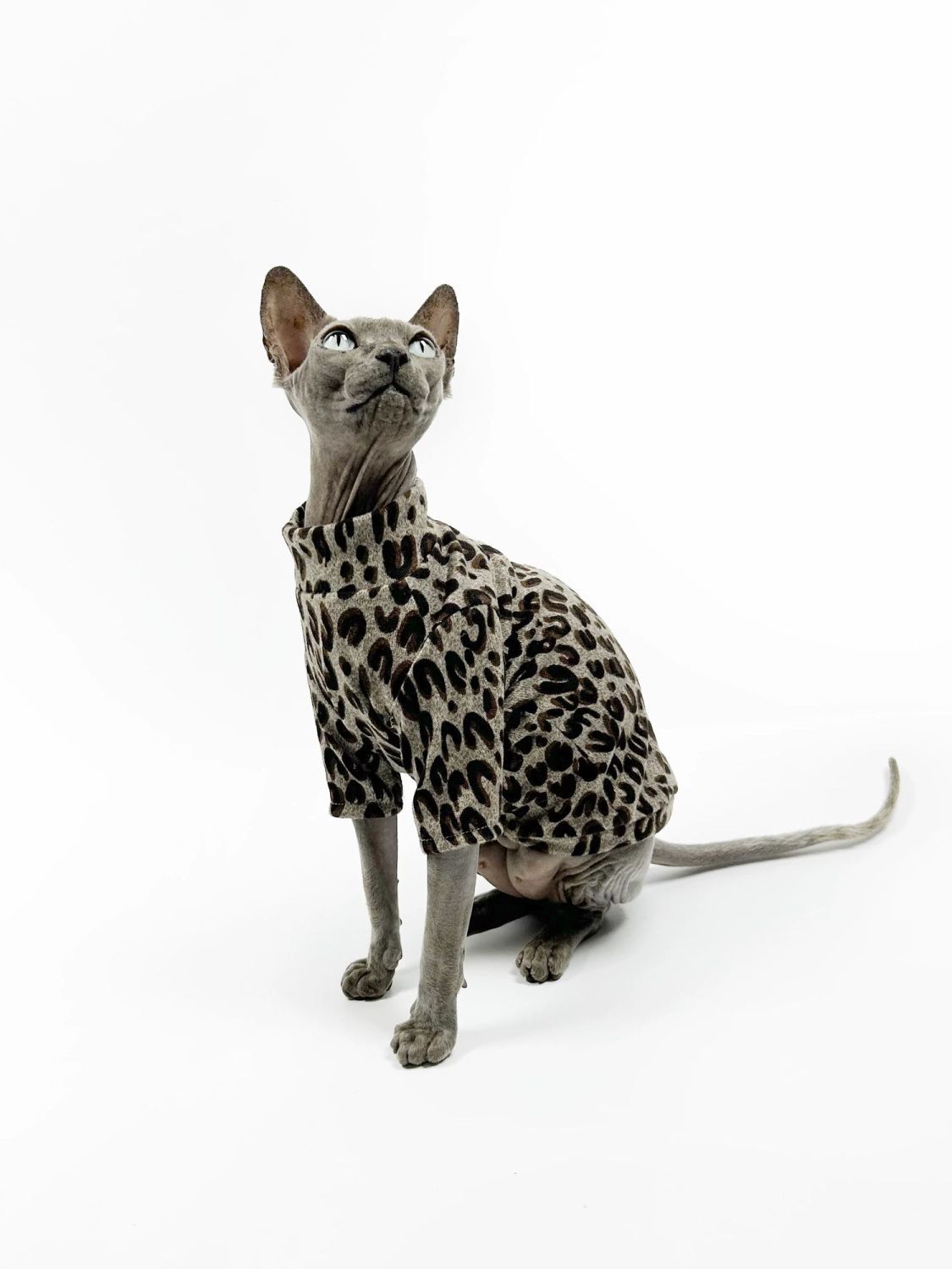 2026新款冰丝春夏秋无毛猫衣服斯芬克斯德文背心薄款豹纹宠物成衣
