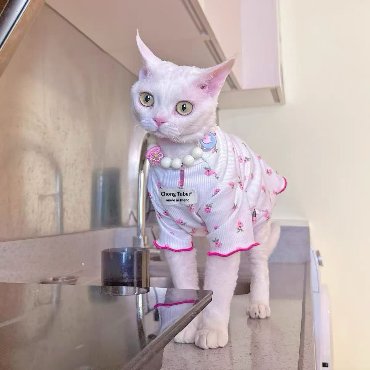 网红猫咪冰丝衣服夏季春夏斯芬克斯毛猫背心透气薄款德文可爱宠物