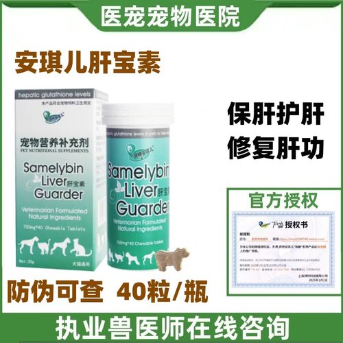 宠物猫咪狗狗安琪儿保肝护肝