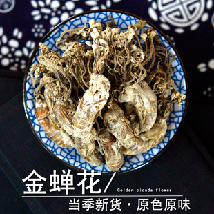 金蝉花中药材小药仙正品金蚕花蝉蛹草蝉茸菌虫花金婵花野生知了花